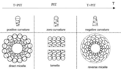 Surfactant molecule packing relation to the micelle structure