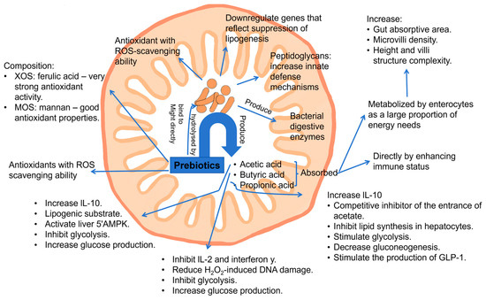 The Future of Skin Health Lies in the Microbiome
